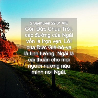 Picture 04 - 2 Sa-mu-ên 22:31 VIE - Còn Đức Chúa Trời, các đường của - Bible Verse Picture