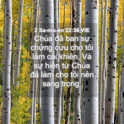 Picture 04 - 2 Sa-mu-ên 22:36 VIE - Chúa đã ban sự chửng cứu cho tôi làm - Bible Verse Picture