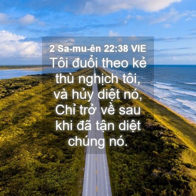 Picture 04 - 2 Sa-mu-ên 22:38 VIE - Tôi đuổi theo kẻ thù nghịch tôi, và - Bible Verse Picture