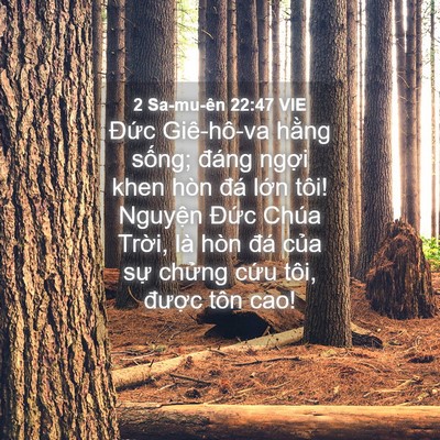 Picture 04 - 2 Sa-mu-ên 22:47 VIE - Đức Giê-hô-va hằng sống; đáng ngợi - Bible Verse Picture
