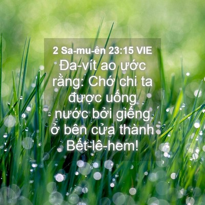 Picture 04 - 2 Sa-mu-ên 23:15 VIE - Đa-vít ao ước rằng: Chớ chi ta được - Bible Verse Picture
