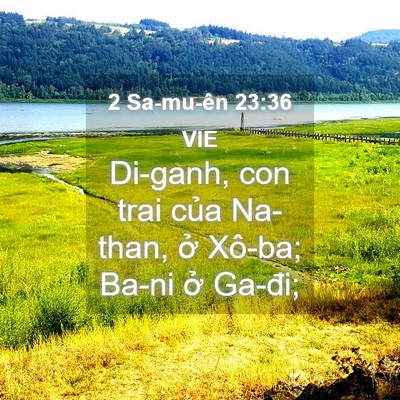 Picture 04 - 2 Sa-mu-ên 23:36 VIE - Di-ganh, con trai của Na-than, ở Xô-ba; - Bible Verse Picture