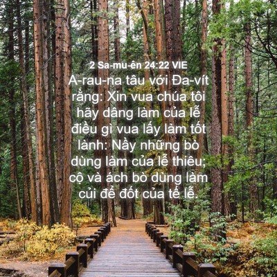 Picture 04 - 2 Sa-mu-ên 24:22 VIE - A-rau-na tâu với Đa-vít rằng: Xin vua - Bible Verse Picture