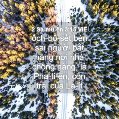 Picture 04 - 2 Sa-mu-ên 3:15 VIE - ỗch-bô-sết bèn sai người bắt nàng - Bible Verse Picture