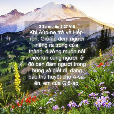 Picture 04 - 2 Sa-mu-ên 3:27 VIE - Khi Aùp-ne trở về Hếp-rôn, Giô-áp đem - Bible Verse Picture