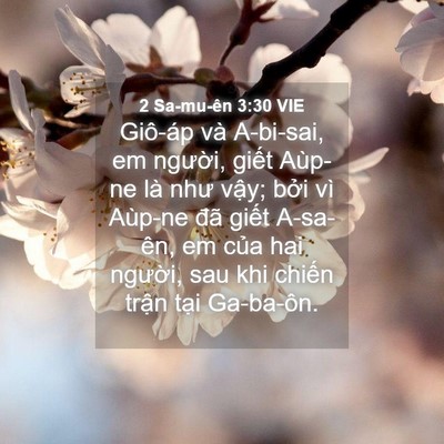 Picture 04 - 2 Sa-mu-ên 3:30 VIE - Giô-áp và A-bi-sai, em người, giết - Bible Verse Picture