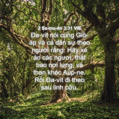 Picture 04 - 2 Sa-mu-ên 3:31 VIE - Đa-vít nói cùng Giô-áp và cả dân sự - Bible Verse Picture