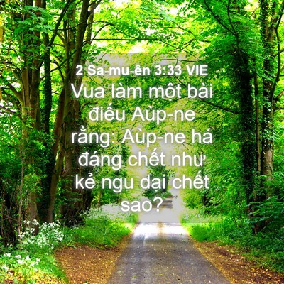 Picture 04 - 2 Sa-mu-ên 3:33 VIE - Vua làm một bài điếu Aùp-ne rằng: - Bible Verse Picture