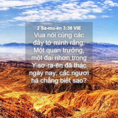 Picture 04 - 2 Sa-mu-ên 3:38 VIE - Vua nói cùng các đầy tớ mình rằng: - Bible Verse Picture