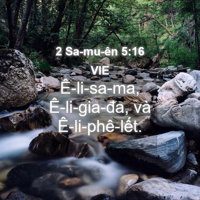 Picture 04 - 2 Sa-mu-ên 5:16 VIE - Ê-li-sa-ma, Ê-li-gia-đa, và - Bible Verse Picture