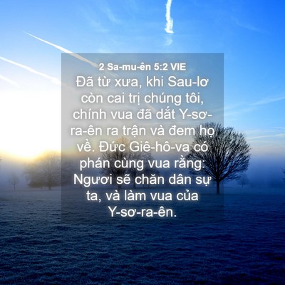 Picture 04 - 2 Sa-mu-ên 5:2 VIE - Đã từ xưa, khi Sau-lơ còn cai trị chúng - Bible Verse Picture