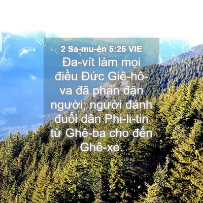 Picture 04 - 2 Sa-mu-ên 5:25 VIE - Đa-vít làm mọi điều Đức Giê-hô-va - Bible Verse Picture