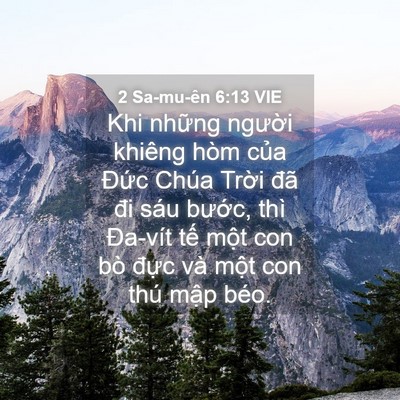 Picture 04 - 2 Sa-mu-ên 6:13 VIE - Khi những người khiêng hòm của Đức - Bible Verse Picture