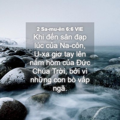 Picture 04 - 2 Sa-mu-ên 6:6 VIE - Khi đến sân đạp lúc của Na-côn, U-xa - Bible Verse Picture
