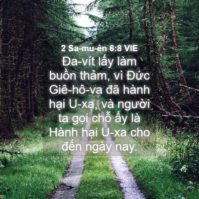 Picture 04 - 2 Sa-mu-ên 6:8 VIE - Đa-vít lấy làm buồn thảm, vì Đức - Bible Verse Picture