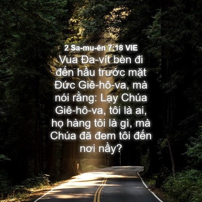 Picture 04 - 2 Sa-mu-ên 7:18 VIE - Vua Đa-vít bèn đi đến hầu trước mặt - Bible Verse Picture