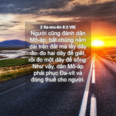 Picture 04 - 2 Sa-mu-ên 8:2 VIE - Người cũng đánh dân Mô-áp, bắt chúng - Bible Verse Picture