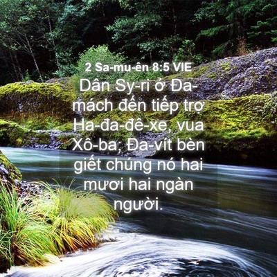 Picture 04 - 2 Sa-mu-ên 8:5 VIE - Dân Sy-ri ở Đa-mách đến tiếp trợ - Bible Verse Picture