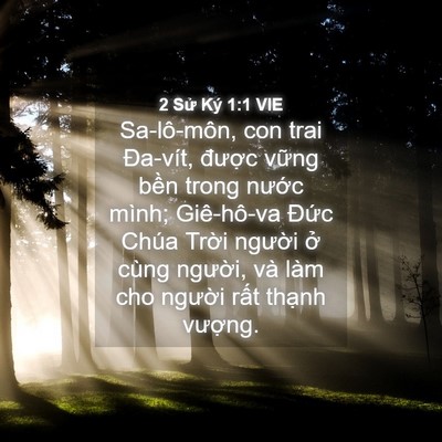 Picture 04 - 2 Sử Ký 1:1 VIE - Sa-lô-môn, con trai Đa-vít, được vững - Bible Verse Picture