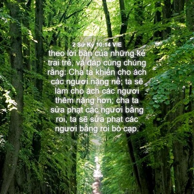 Picture 04 - 2 Sử Ký 10:14 VIE - theo lời bàn của những kẻ trai trẻ, - Bible Verse Picture