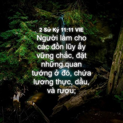 Picture 04 - 2 Sử Ký 11:11 VIE - Người làm cho các đồn lũy ấy vững - Bible Verse Picture