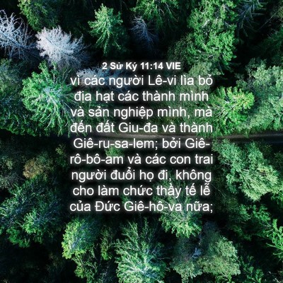 Picture 04 - 2 Sử Ký 11:14 VIE - vì các người Lê-vi lìa bỏ địa hạt - Bible Verse Picture