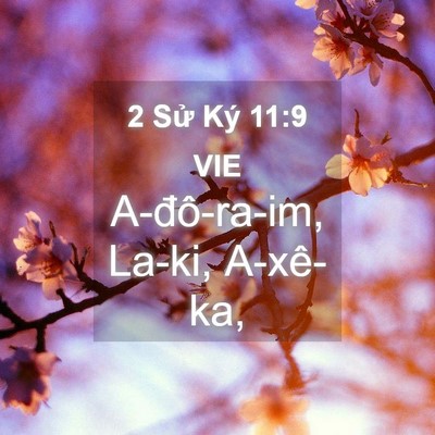 Picture 04 - 2 Sử Ký 11:9 VIE - A-đô-ra-im, La-ki, - Bible Verse Picture