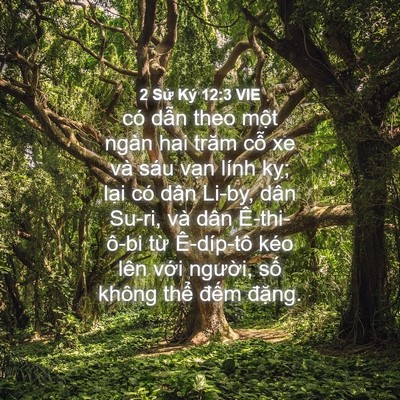Picture 04 - 2 Sử Ký 12:3 VIE - có dẫn theo một ngàn hai trăm cỗ xe và - Bible Verse Picture