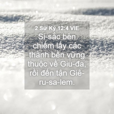 Picture 04 - 2 Sử Ký 12:4 VIE - Si-sắc bèn chiếm lấy các thành bền - Bible Verse Picture