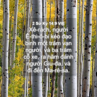 Picture 04 - 2 Sử Ký 14:9 VIE - Xê-rách, người Ê-thi-ô-bi kéo đạo binh - Bible Verse Picture