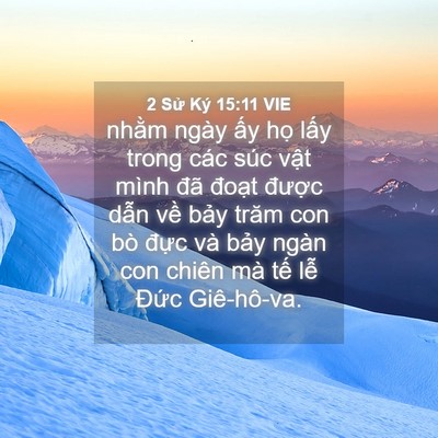 Picture 04 - 2 Sử Ký 15:11 VIE - nhằm ngày ấy họ lấy trong các súc - Bible Verse Picture
