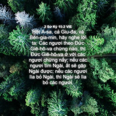 Picture 04 - 2 Sử Ký 15:2 VIE - Hỡi A-sa, cả Giu-đa, và Bên-gia-min, hãy - Bible Verse Picture