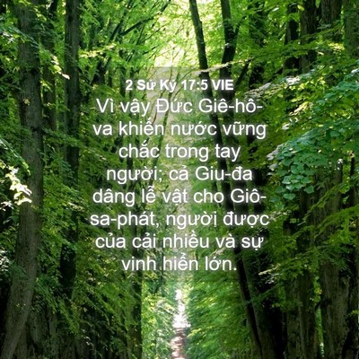 Picture 04 - 2 Sử Ký 17:5 VIE - Vì vậy Đức Giê-hô-va khiến nước - Bible Verse Picture