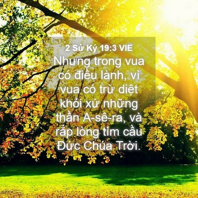 Picture 04 - 2 Sử Ký 19:3 VIE - Nhưng trong vua có điều lành, vì vua có - Bible Verse Picture