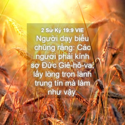Picture 04 - 2 Sử Ký 19:9 VIE - Người dạy biểu chúng rằng: Các ngươi - Bible Verse Picture