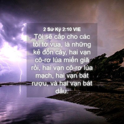 Picture 04 - 2 Sử Ký 2:10 VIE - Tôi sẽ cấp cho các tôi tớ vua, là - Bible Verse Picture