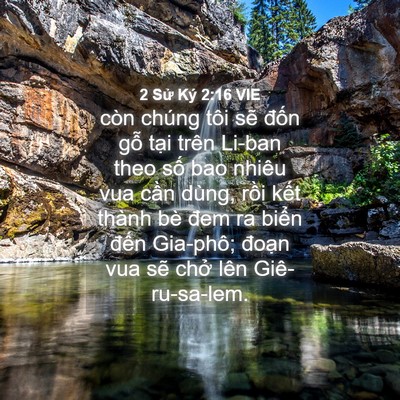 Picture 04 - 2 Sử Ký 2:16 VIE - còn chúng tôi sẽ đốn gỗ tại trên - Bible Verse Picture