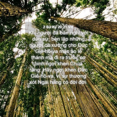Picture 04 - 2 Sử Ký 20:21 VIE - Khi người đã bàn nghị với dân sự, - Bible Verse Picture