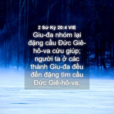 Picture 04 - 2 Sử Ký 20:4 VIE - Giu-đa nhóm lại đặng cầu Đức - Bible Verse Picture