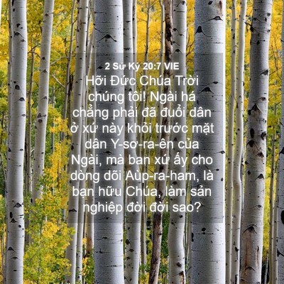 Picture 04 - 2 Sử Ký 20:7 VIE - Hỡi Đức Chúa Trời chúng tôi! Ngài há - Bible Verse Picture