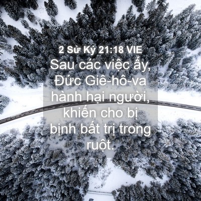 Picture 04 - 2 Sử Ký 21:18 VIE - Sau các việc ấy, Đức Giê-hô-va hành - Bible Verse Picture