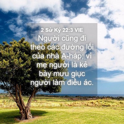 Picture 04 - 2 Sử Ký 22:3 VIE - Người cũng đi theo các đường lối - Bible Verse Picture
