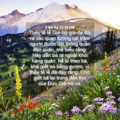 Picture 04 - 2 Sử Ký 23:14 VIE - Thầy tế lễ Giê-hô-gia-đa đòi ra các - Bible Verse Picture