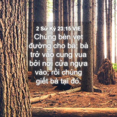 Picture 04 - 2 Sử Ký 23:15 VIE - Chúng bèn vẹt đường cho bà; bà trở - Bible Verse Picture