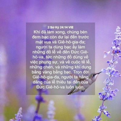 Picture 04 - 2 Sử Ký 24:14 VIE - Khi đã làm xong, chúng bèn đem bạc còn - Bible Verse Picture
