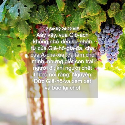 Picture 04 - 2 Sử Ký 24:22 VIE - Aáy vậy, vua Giô-ách không nhớ đến - Bible Verse Picture