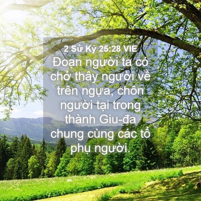 Picture 04 - 2 Sử Ký 25:28 VIE - Đoạn người ta có chở thây người về - Bible Verse Picture