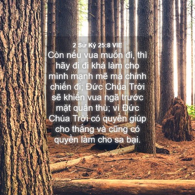 Picture 04 - 2 Sử Ký 25:8 VIE - Còn nếu vua muốn đi, thì hãy đi đi khá - Bible Verse Picture