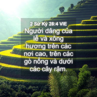 Picture 04 - 2 Sử Ký 28:4 VIE - Người dâng của lễ và xông hương trên - Bible Verse Picture