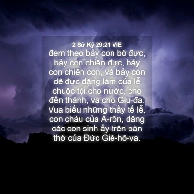 Picture 04 - 2 Sử Ký 29:21 VIE - đem theo bảy con bò đực, bảy con chiên - Bible Verse Picture
